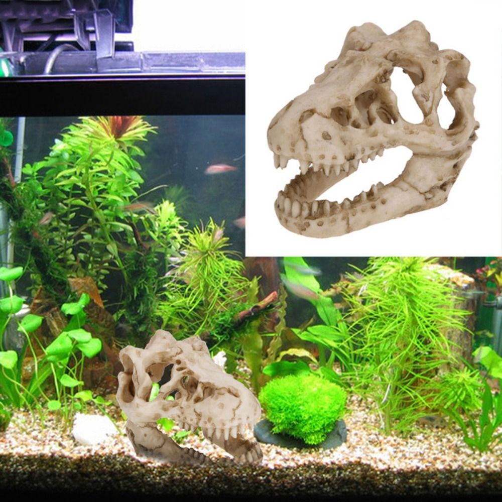 Aquarium Fish Hide - Simulación creativa de calavera de dinosaurio,