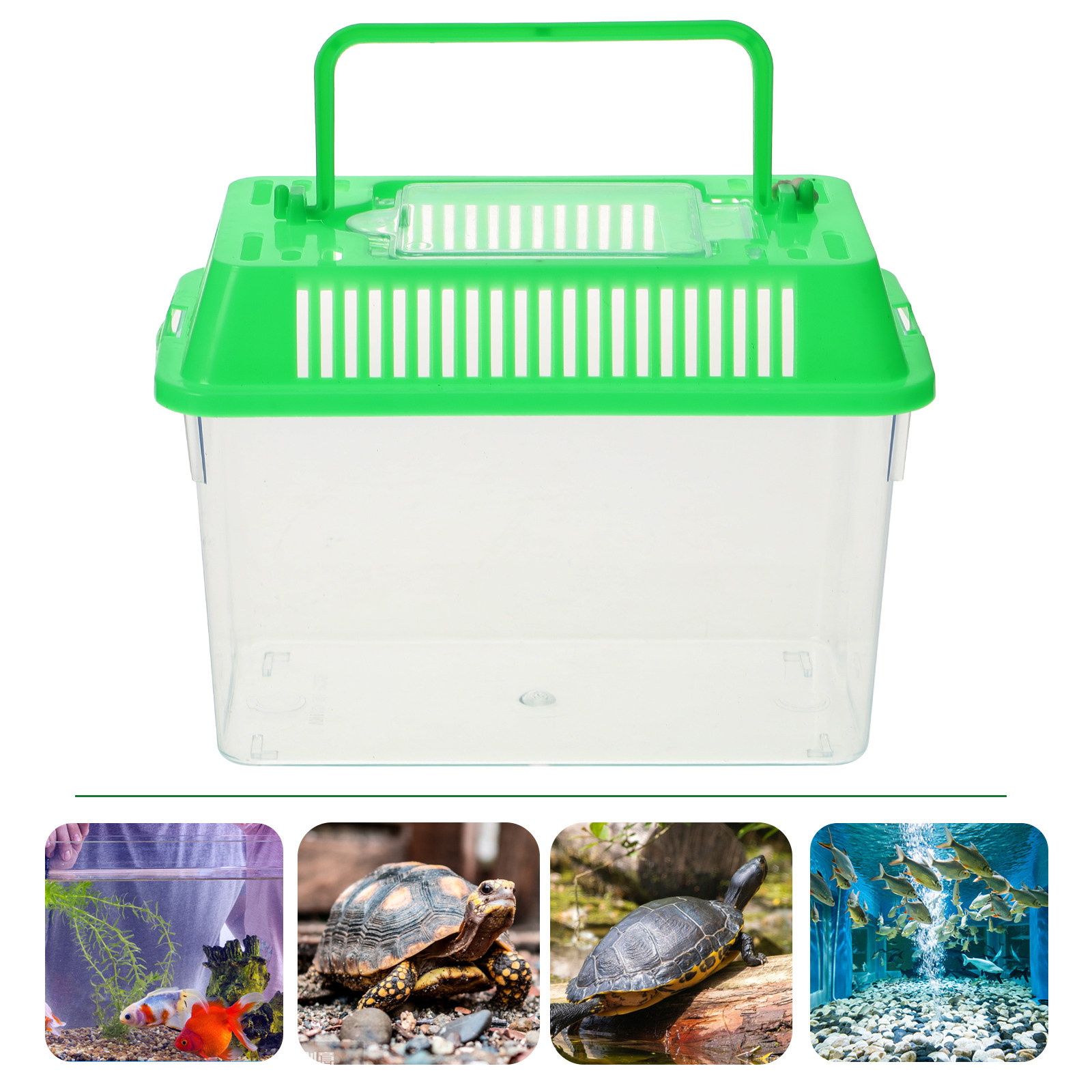 Aquarium Fish Goldfish - Mini Pecera Portátil de Plástico Transparente