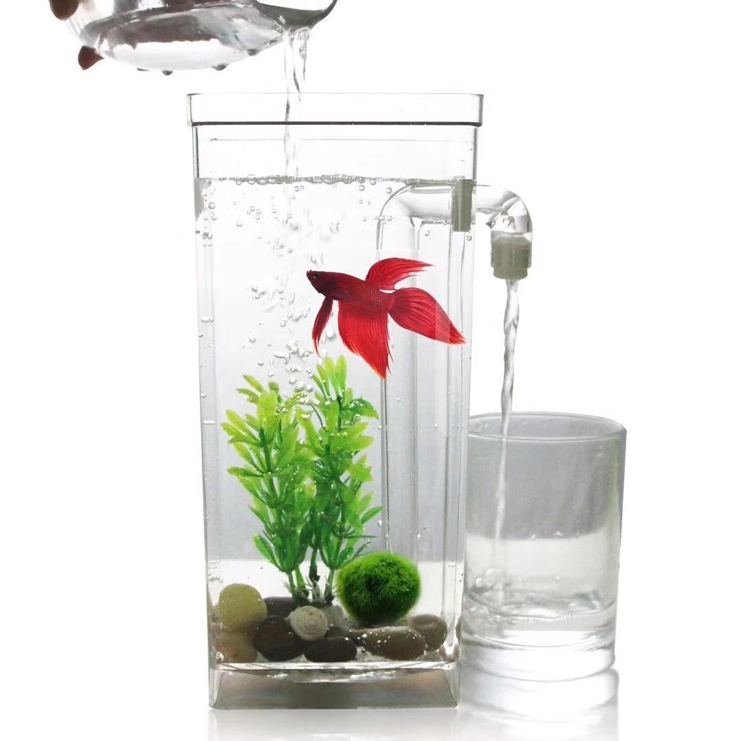 Aquarium Fish Goldfish - Tanque de peces de escritorio con