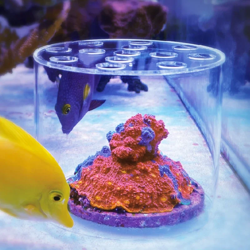 Aquarium Fish Freshwater - Vastocean-campana alimentadora de Coral acrílico para