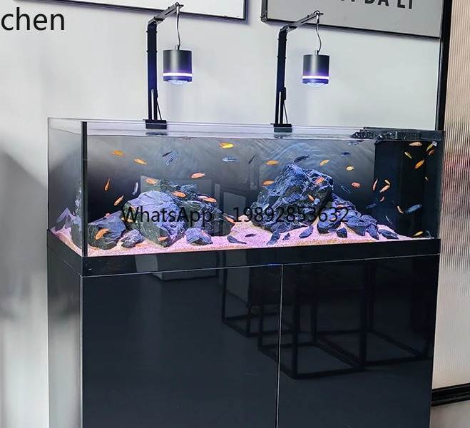 Wild Aquarium Fish - Tanque de corriente Native Wild Collection,