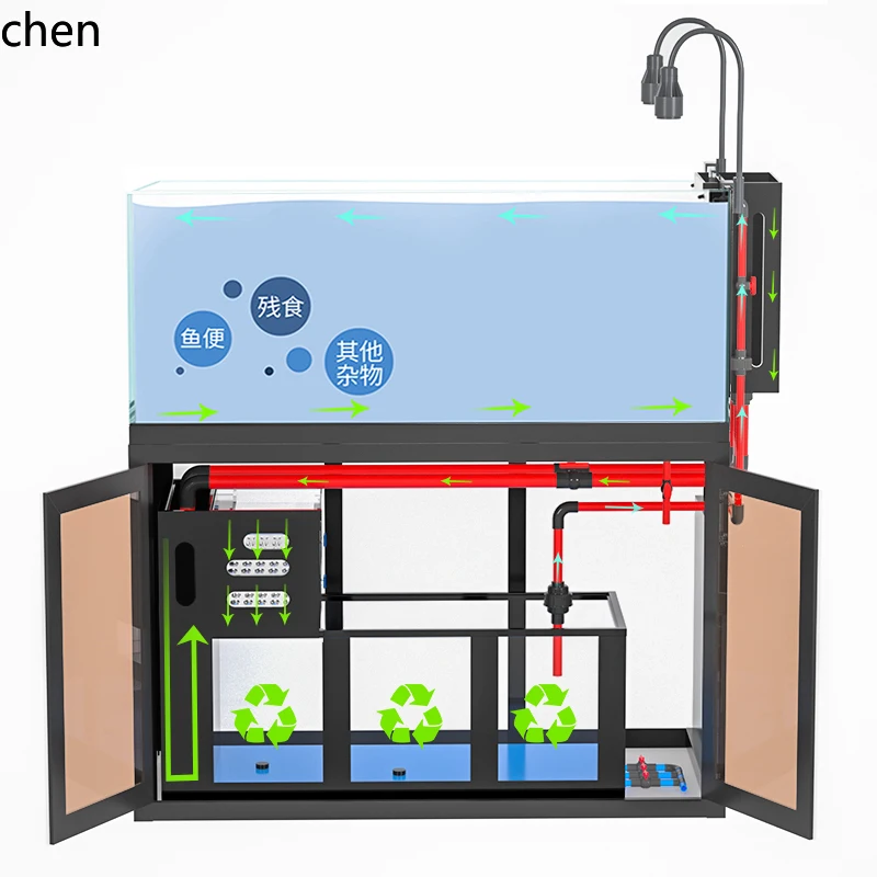 Acuario de sobremesa DSA con f - Aquarium Fish Goldfish reseña y precio