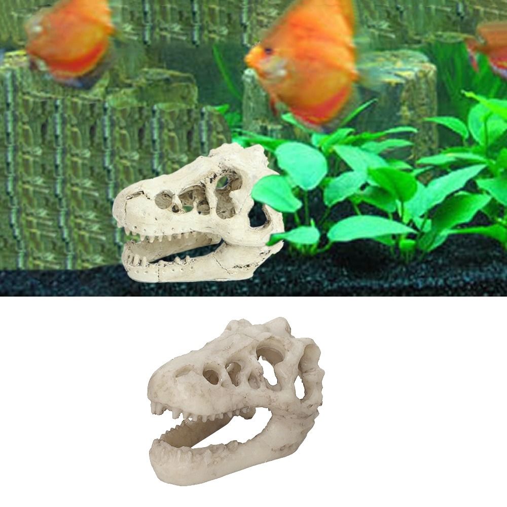 Simulación creativa de calaver - Aquarium Fish Hide reseña y precio