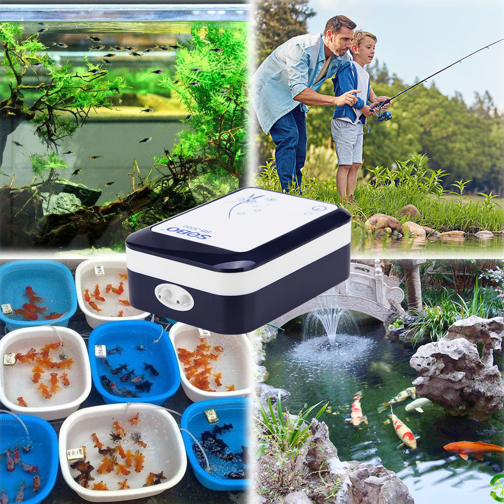 SOBO-bomba de oxígeno para acu - Wild Aquarium Fish reseña y precio