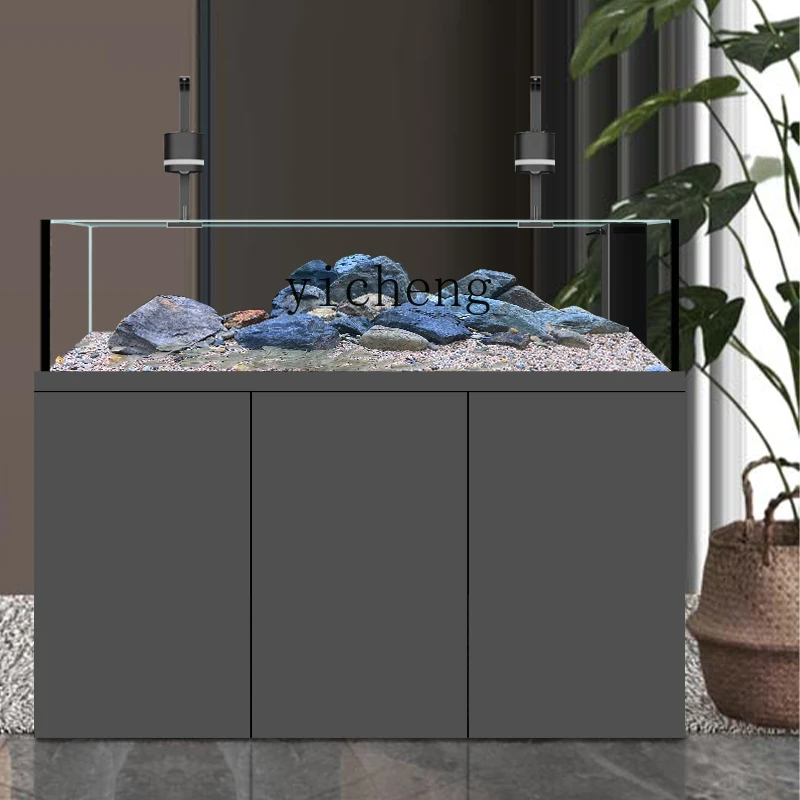 Acuario ABB para peces cíclido - Wild Aquarium Fish reseña y precio