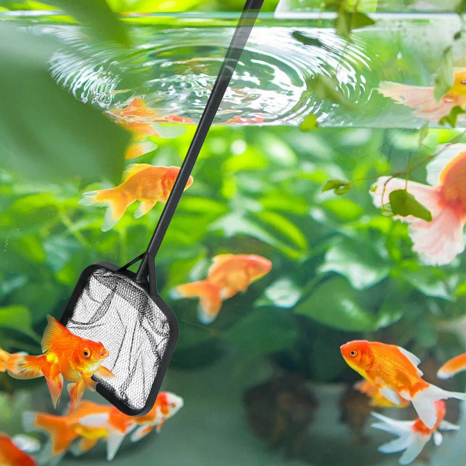 Redes de limpieza para piscina - Aquarium Fish Care reseña y precio
