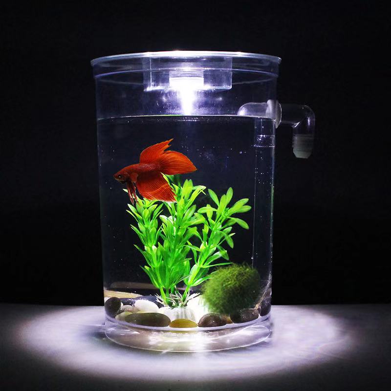 Tanque de peces de escritorio  - Aquarium Fish Goldfish reseña y precio