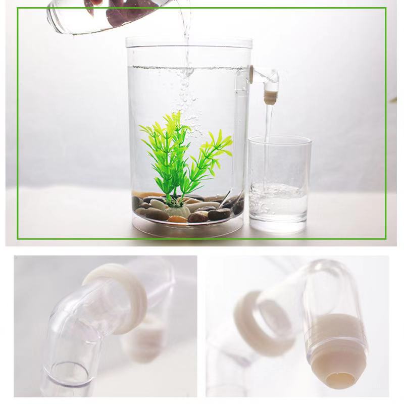 Tanque de peces de escritorio  - Aquarium Fish Goldfish reseña y precio