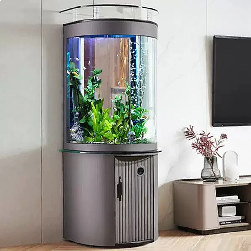 Acuario de Vidrio con Filtro d - Aquarium Fish Low Maintenance reseña y precio