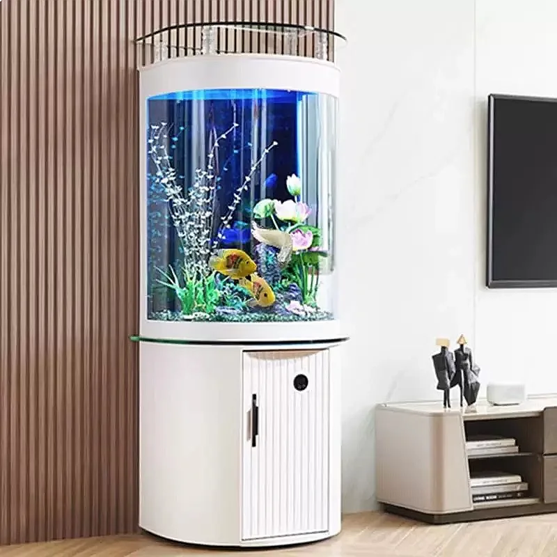 Acuario de Vidrio con Filtro d - Aquarium Fish Low Maintenance reseña y precio