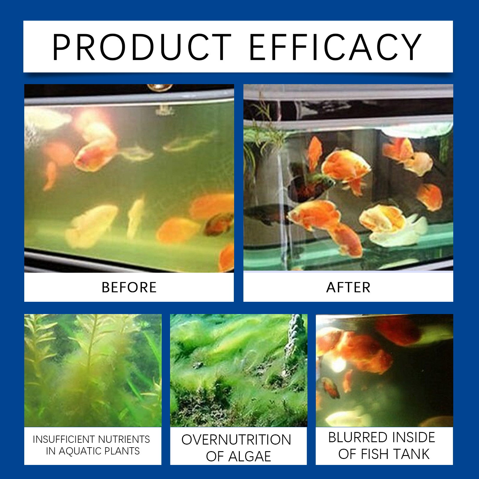 Clarificador de agua para acua - Aquarium Fish Care reseña y precio