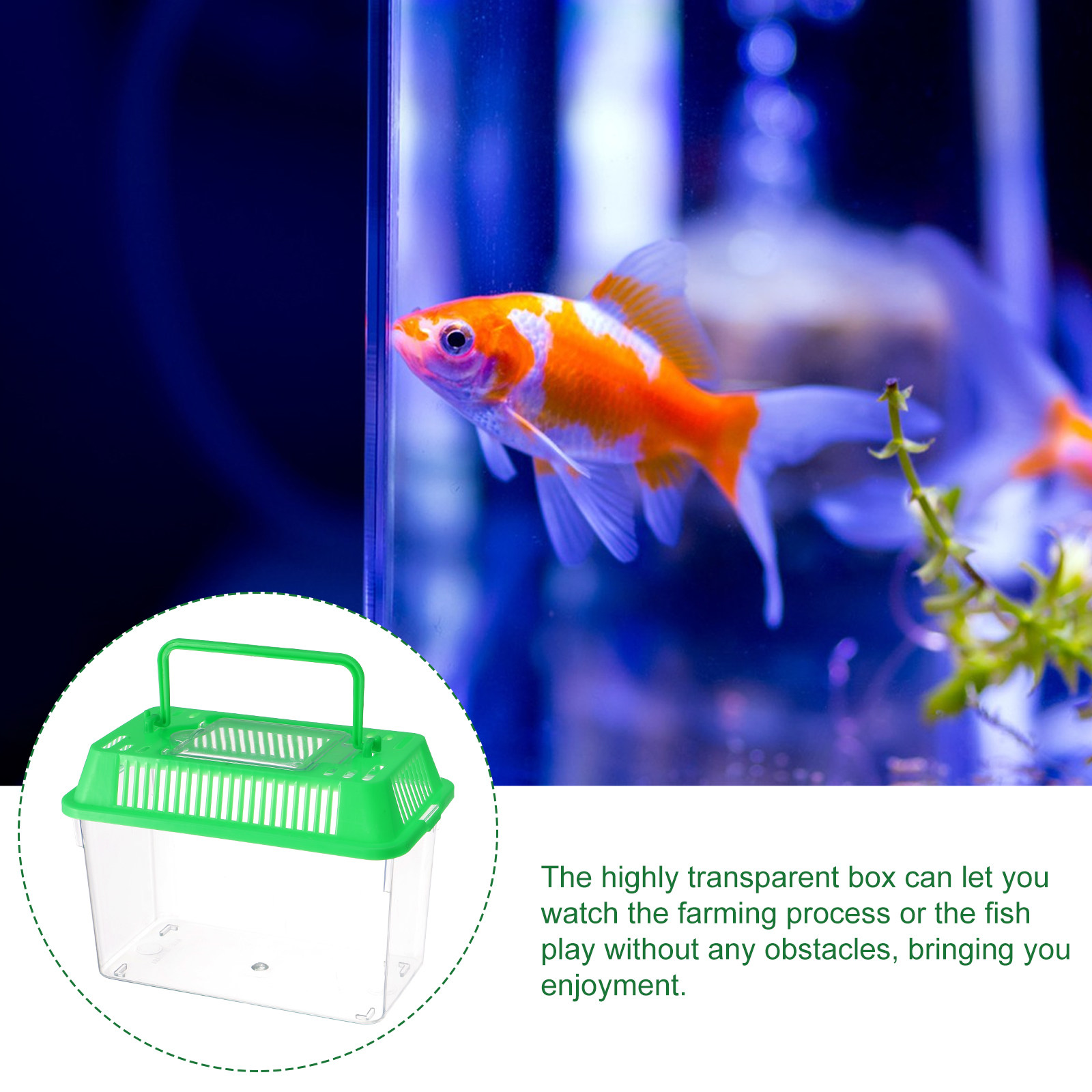 Mini Pecera Portátil de Plásti - Aquarium Fish Goldfish reseña y precio