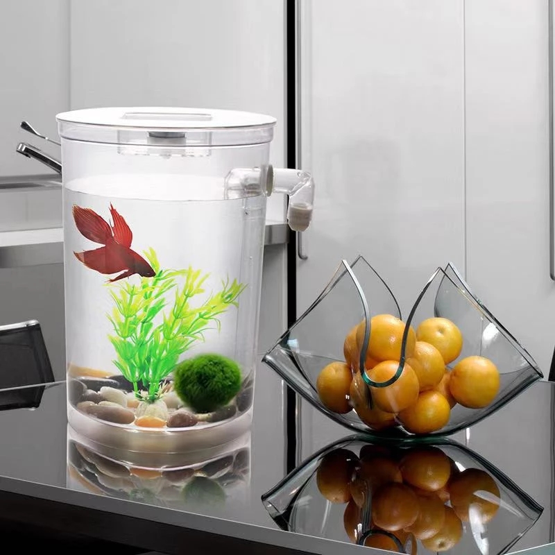 Tanque de peces de escritorio  - Aquarium Fish Goldfish reseña y precio