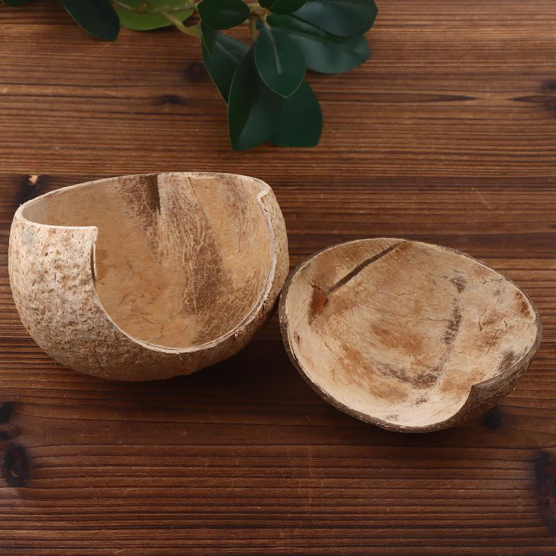 Decoración de Coco para Acuari - Aquarium Fish Hide reseña y precio