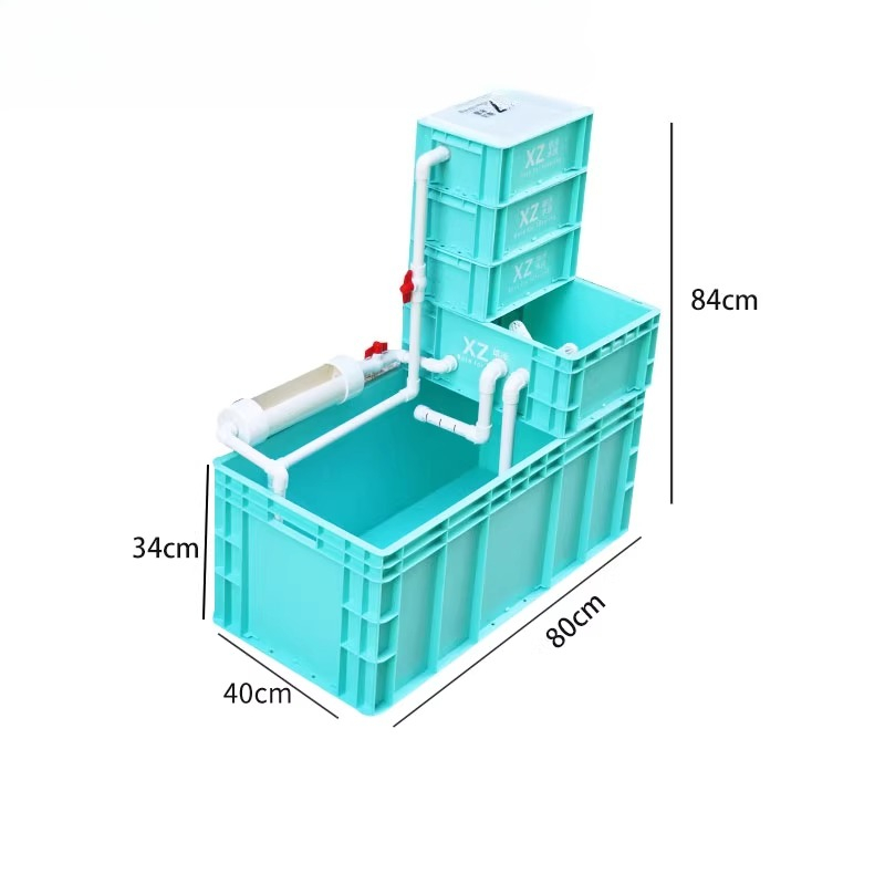 Tanque para Tortugas con Filtr - Aquarium Fish Low Maintenance reseña y precio