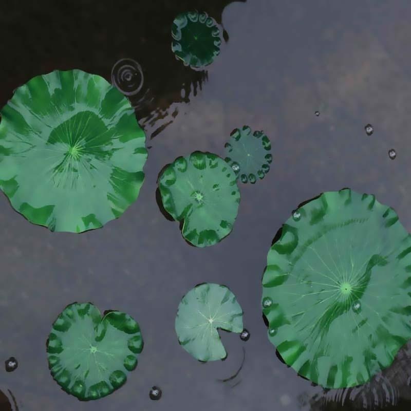 Hojas de Loto Artificiales 202 - Aquarium Fish In Pond reseña y precio