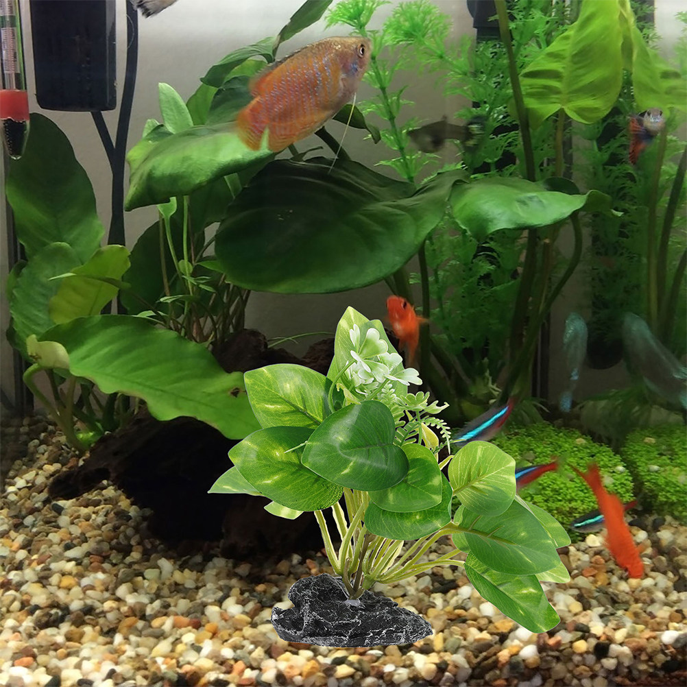2 Piezas de Plantas Acuáticas  - Aquarium Fish Low Maintenance reseña y precio