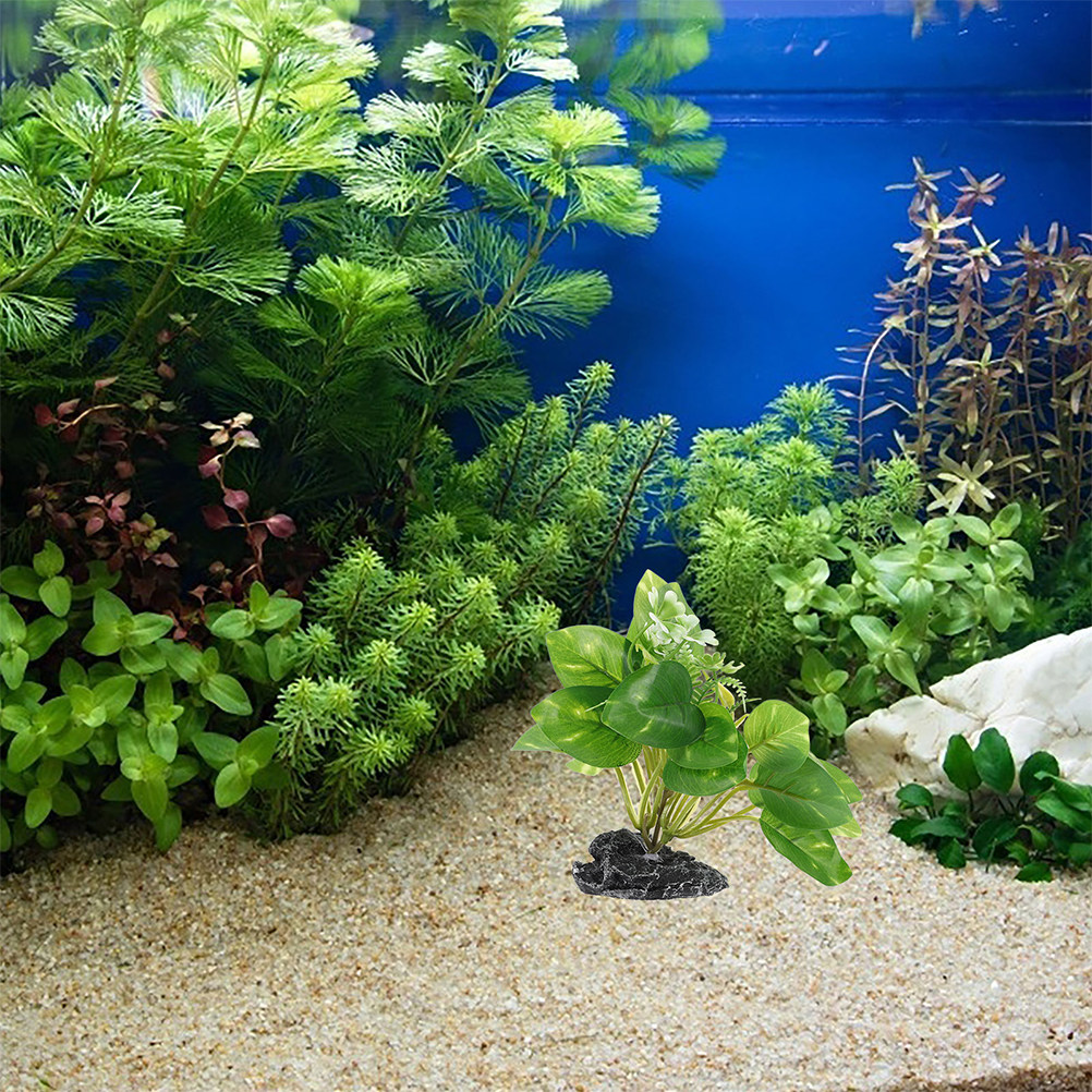 2 Piezas de Plantas Acuáticas  - Aquarium Fish Low Maintenance reseña y precio