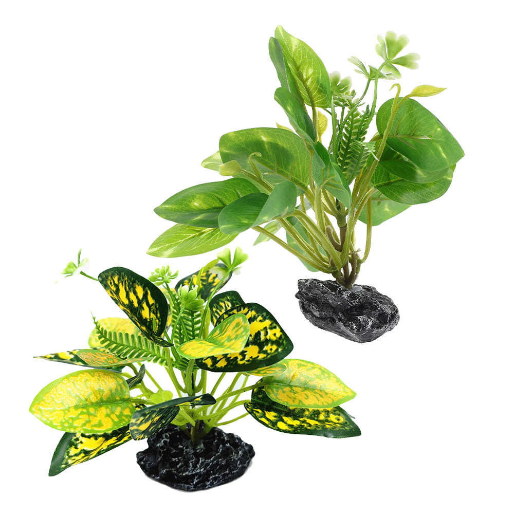 2 Piezas de Plantas Acuáticas  - Aquarium Fish Low Maintenance reseña y precio