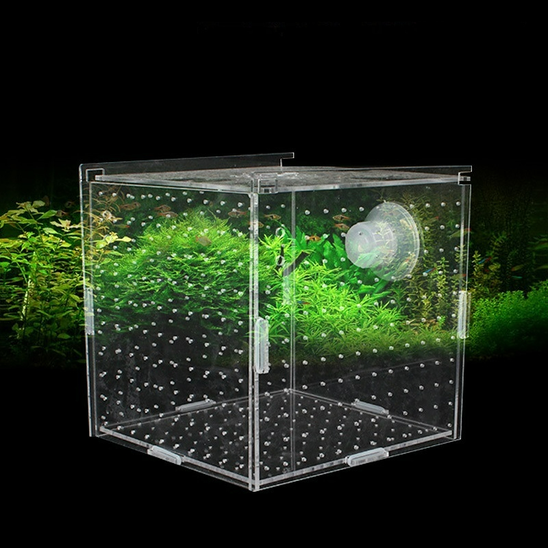 Caja de aislamiento acrílico p - Aquarium Fish Net Small reseña y precio