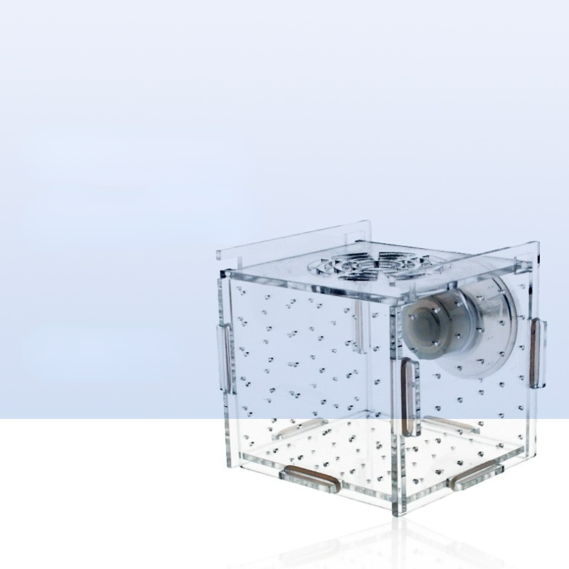 Caja de aislamiento acrílico p - Aquarium Fish Net Small reseña y precio