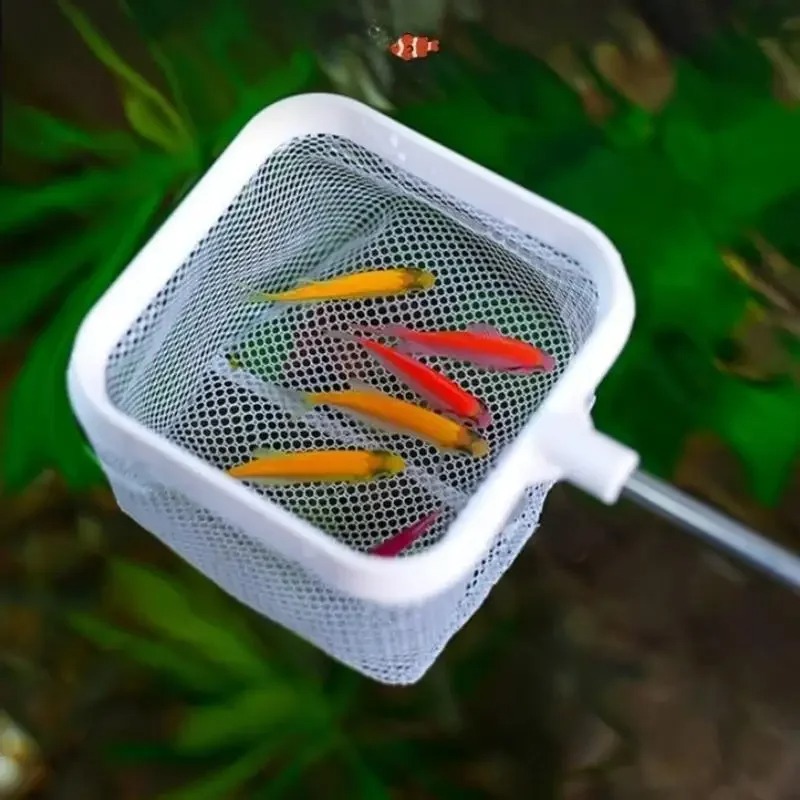 Red de pesca telescópica de ma - Aquarium Fish Net Small reseña y precio