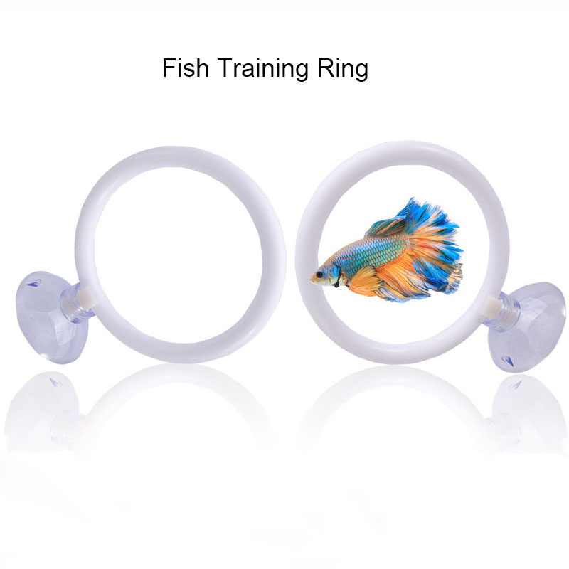 1 unidad de juego de aros de e - Aquarium Fish Hide reseña y precio