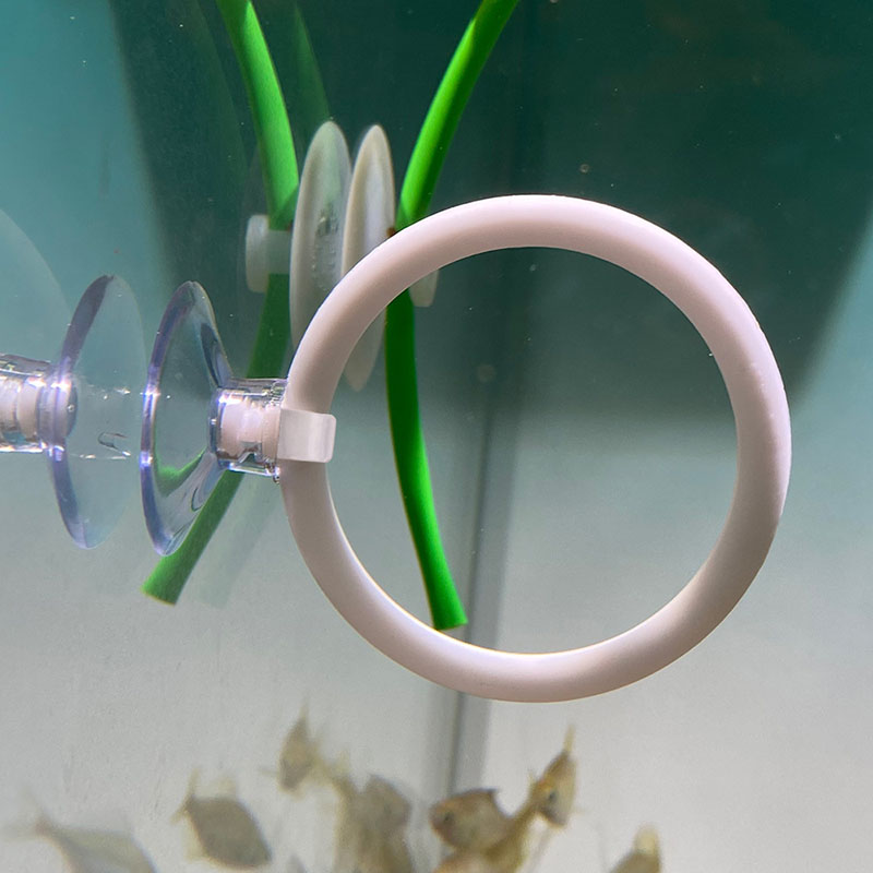 1 unidad de juego de aros de e - Aquarium Fish Hide reseña y precio