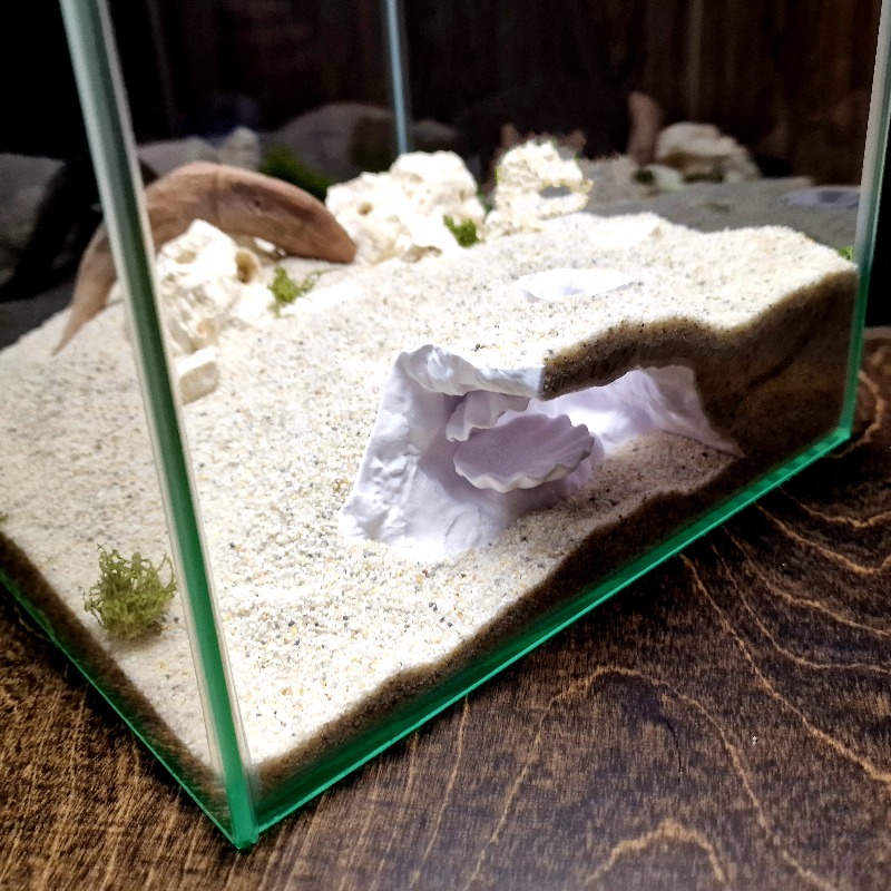 Cueva oculta para peceras impr - Aquarium Fish Hide reseña y precio