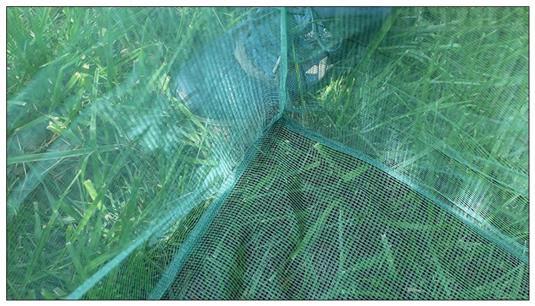 Pesca de 3mm, estaca pequeña d - Aquarium Fish Net Small reseña y precio