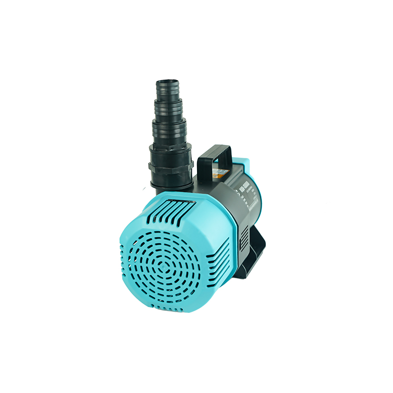Precio al por mayor de fábrica - Aquarium Fish High Price reseña y precio