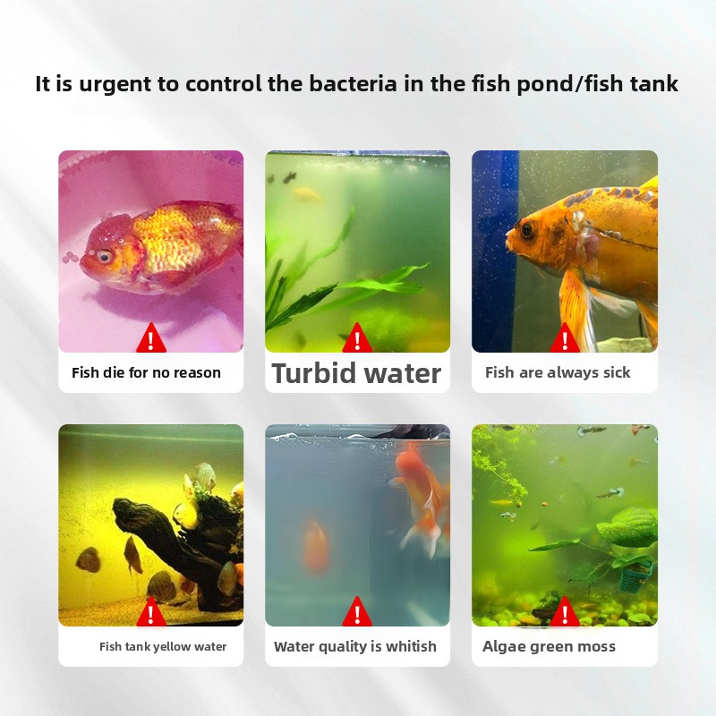 Sal de acuario HUACHU para pec - Aquarium Fish Freshwater reseña y precio