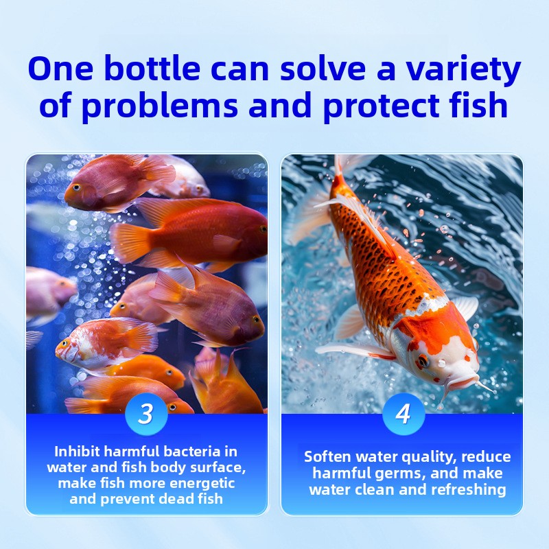 Sal de acuario HUACHU para pec - Aquarium Fish Freshwater reseña y precio