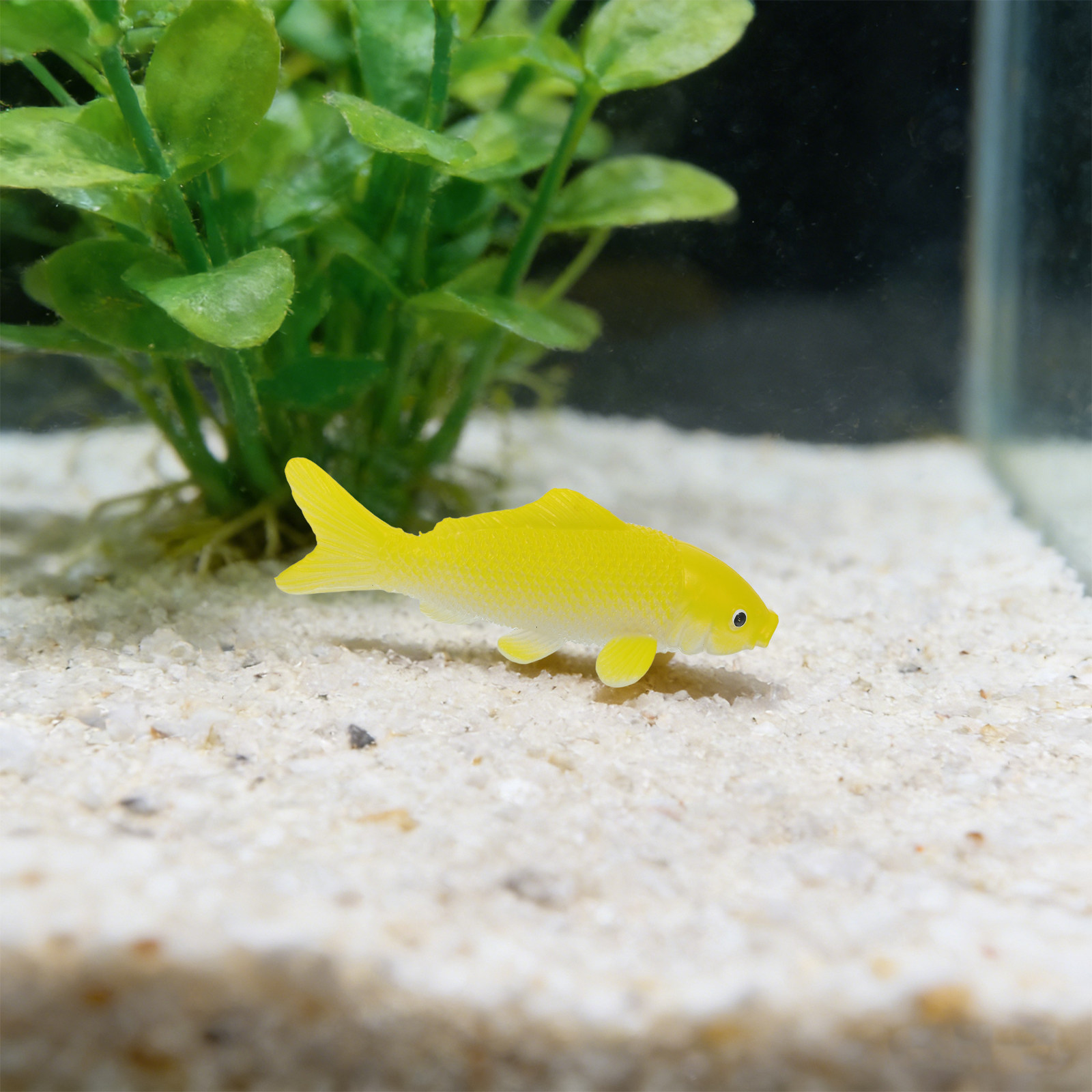 3 Piezas de Figuras de Peces R - Aquarium Fish In Pond reseña y precio