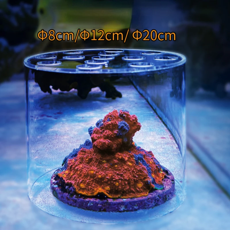 Vastocean-campana alimentadora - Aquarium Fish Freshwater reseña y precio