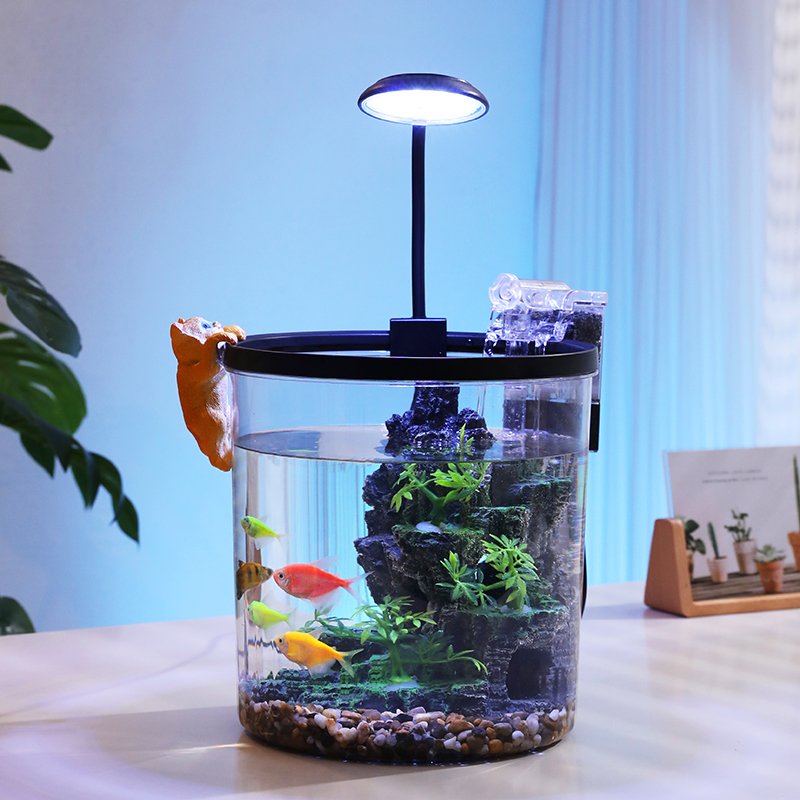 Cuenco redondo compacto para p - Aquarium Fish Low Maintenance reseña y precio