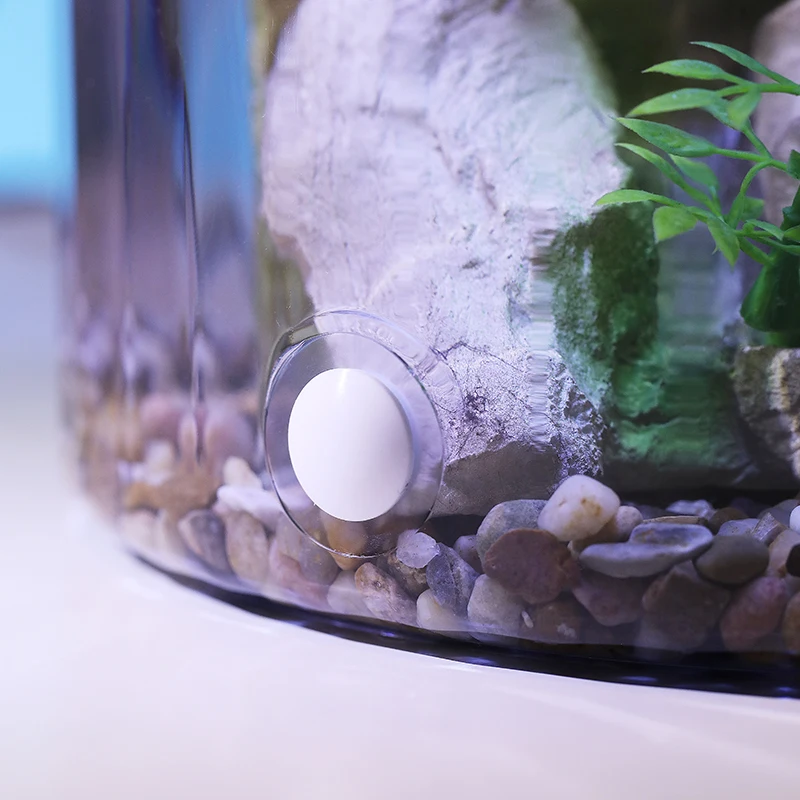 Cuenco redondo compacto para p - Aquarium Fish Low Maintenance reseña y precio