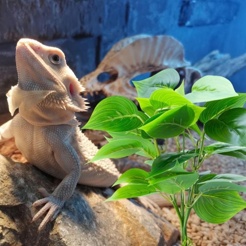 Aquarios peces planta colgante - Aquarium Fish Artificial reseña y precio