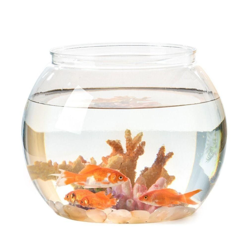 Pecera Portátil Transparente,  - Aquarium Fish Goldfish reseña y precio