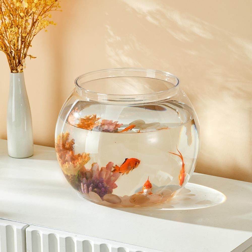 Pecera Portátil Transparente,  - Aquarium Fish Goldfish reseña y precio