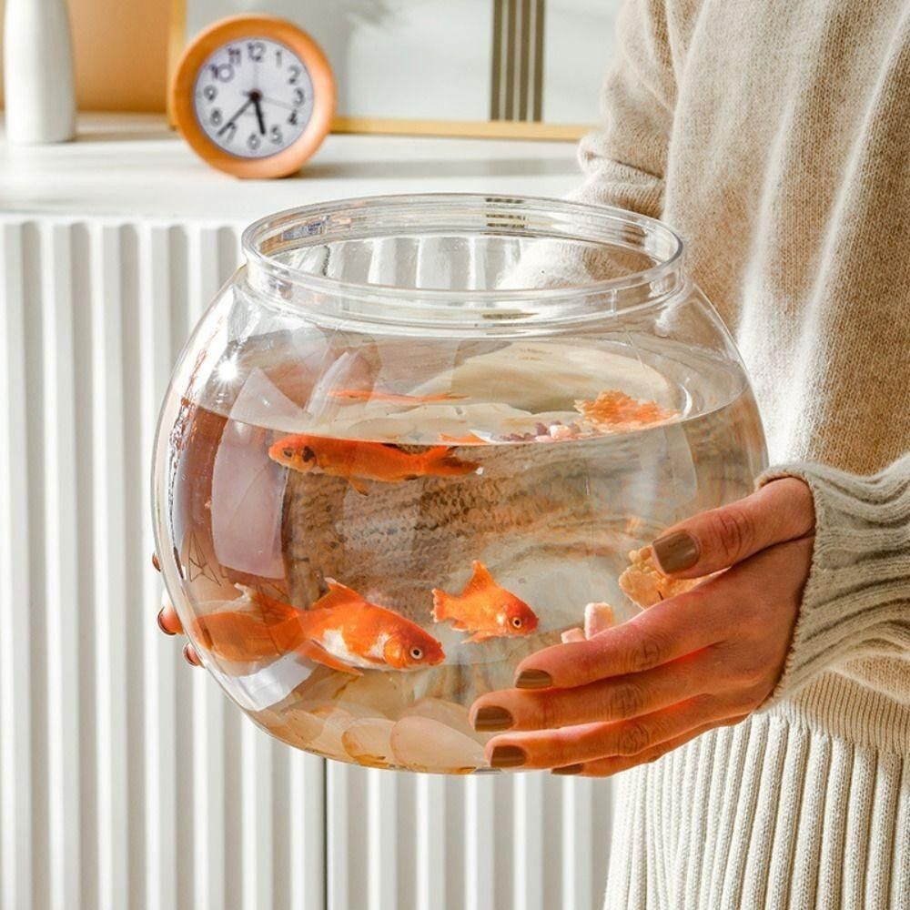 Pecera Portátil Transparente,  - Aquarium Fish Goldfish reseña y precio