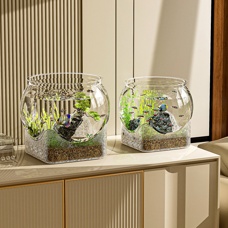 Acuario para pecera, transpare - Aquarium Fish Goldfish reseña y precio