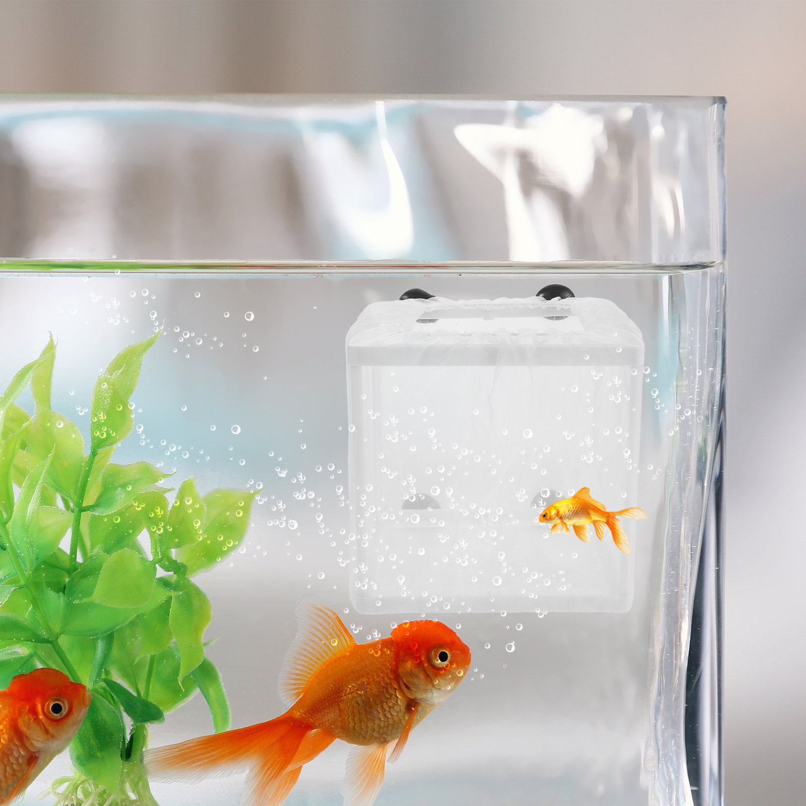 Caja de Cría de Peces (2 Pieza - Aquarium Fish Net Small reseña y precio