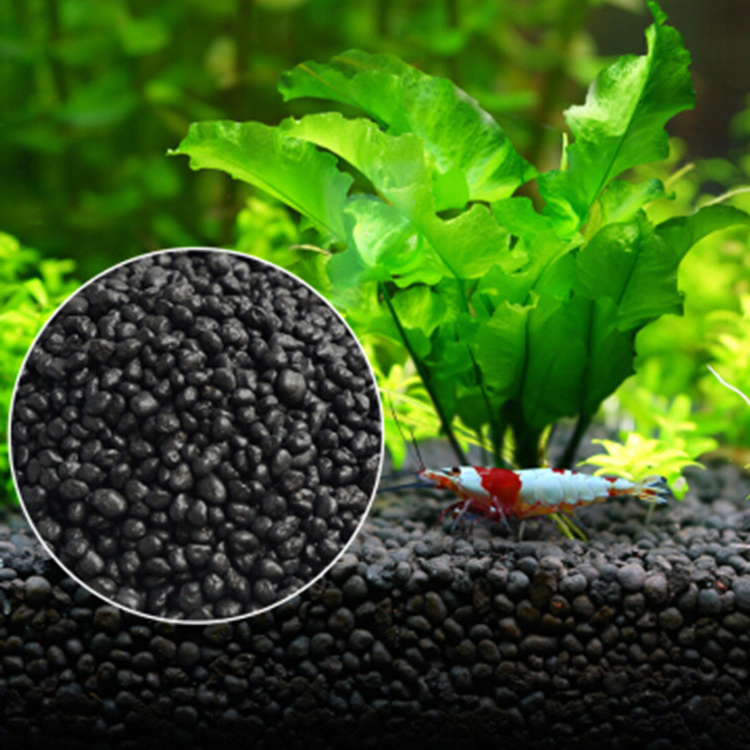 Semillas de plantas de Acuario - Aquarium Fish Care reseña y precio