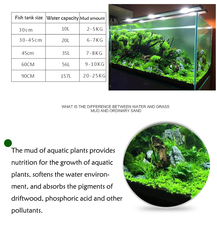 Semillas de plantas de Acuario - Aquarium Fish Care reseña y precio