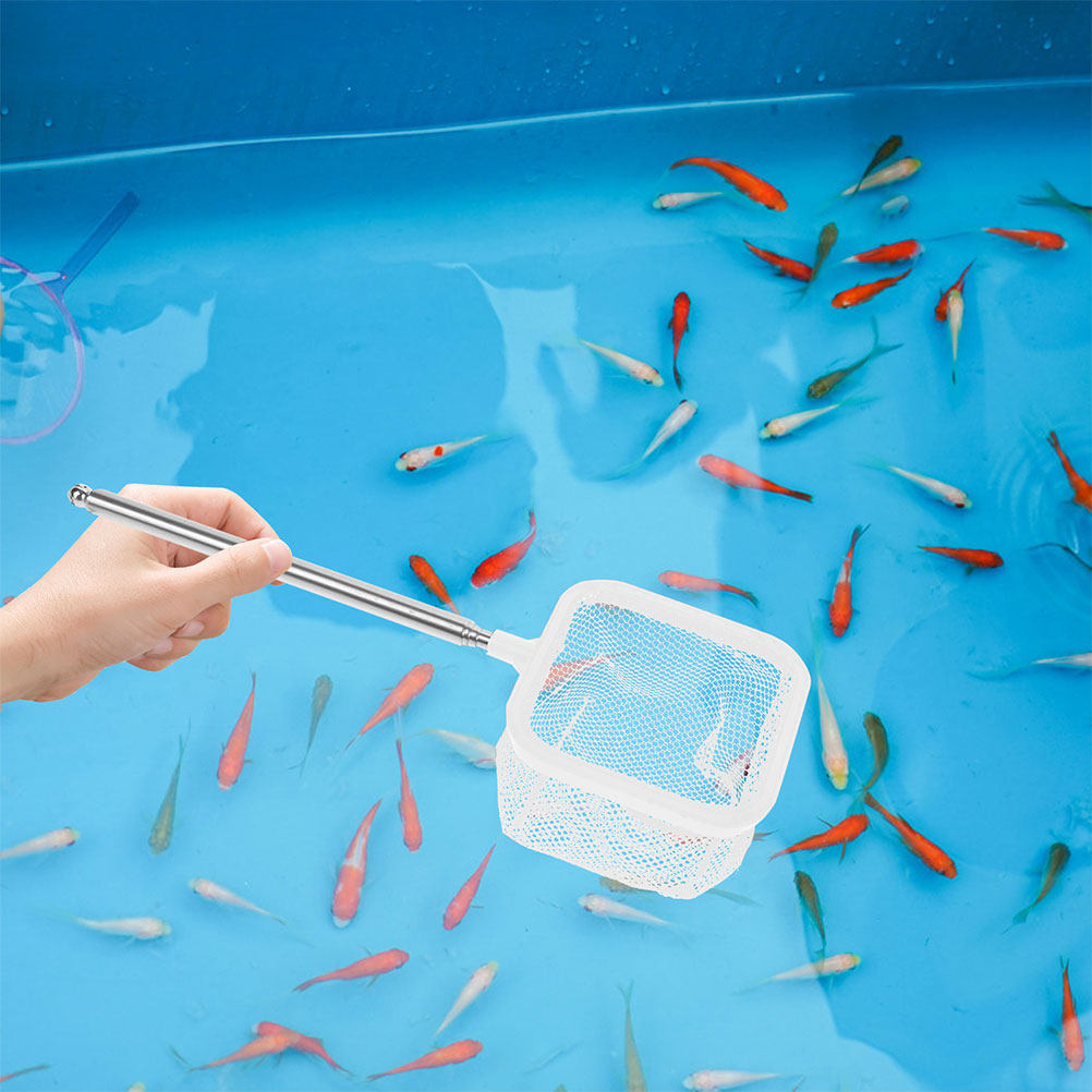 2 Piezas de Red de Malla Exten - Aquarium Fish Net Small reseña y precio