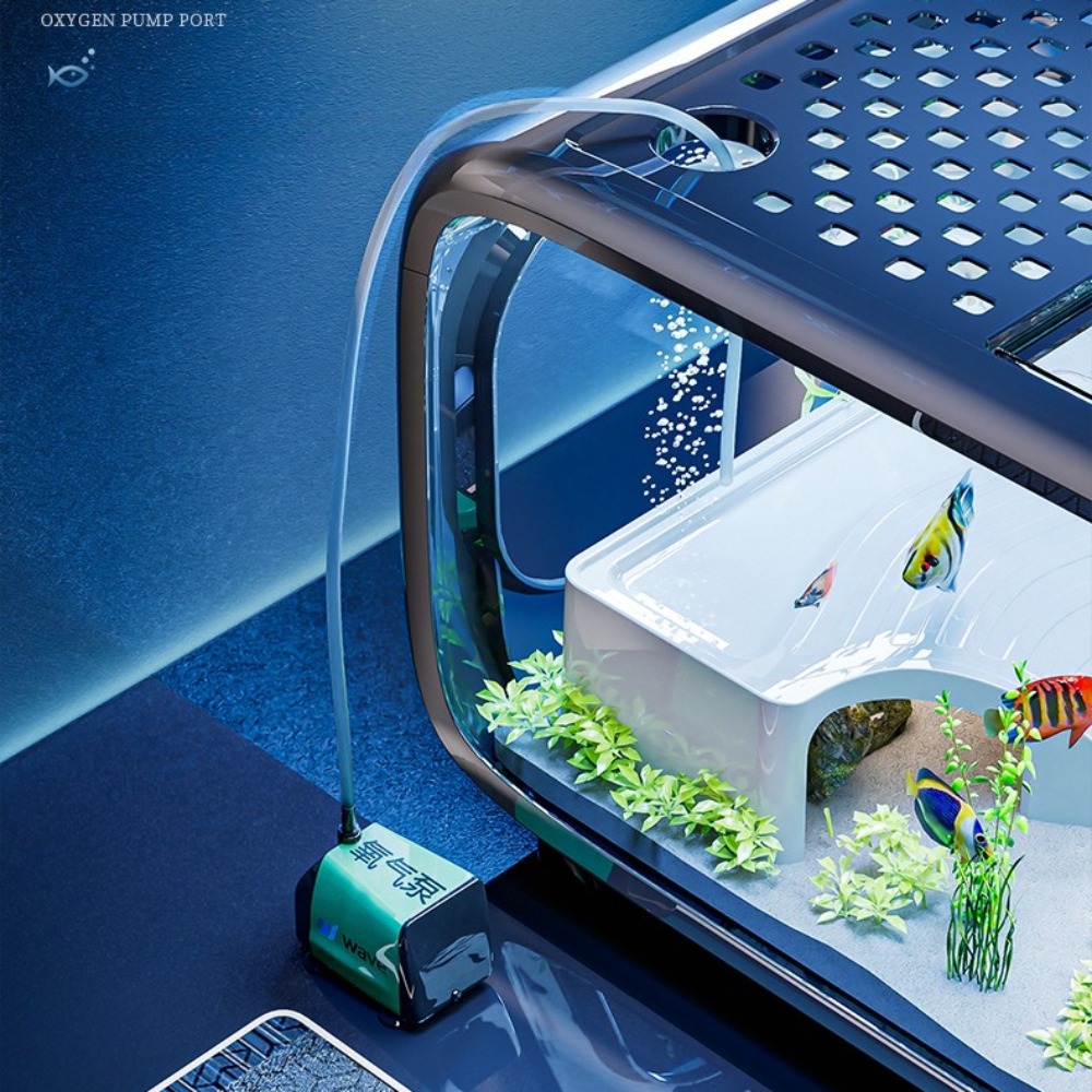 Tanque de peces de lujo transp - Aquarium Fish Goldfish reseña y precio
