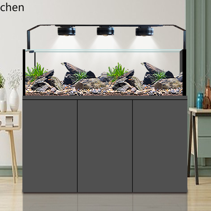 CZ pecera nativa colección sal - Wild Aquarium Fish reseña y precio